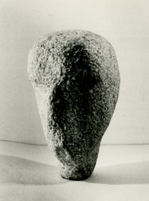 S_509
